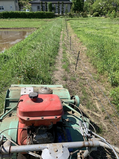 f:id:tomtom1ono:20210530212216j:plain