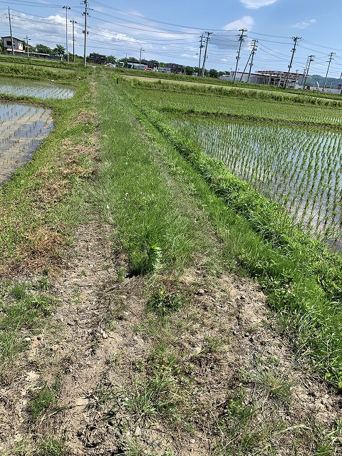 f:id:tomtom1ono:20210530212328j:plain