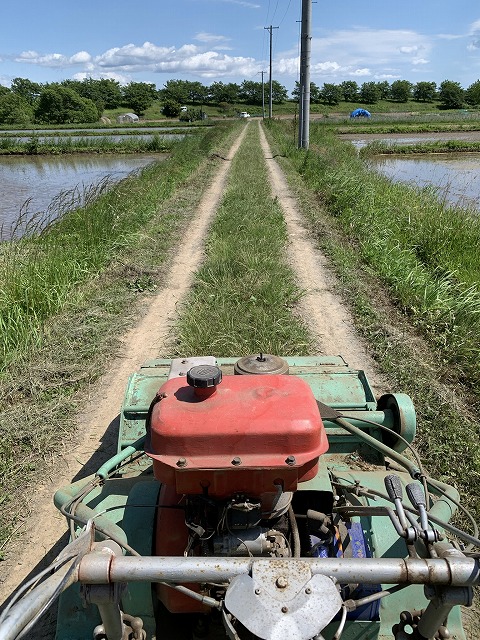 f:id:tomtom1ono:20210530213505j:plain