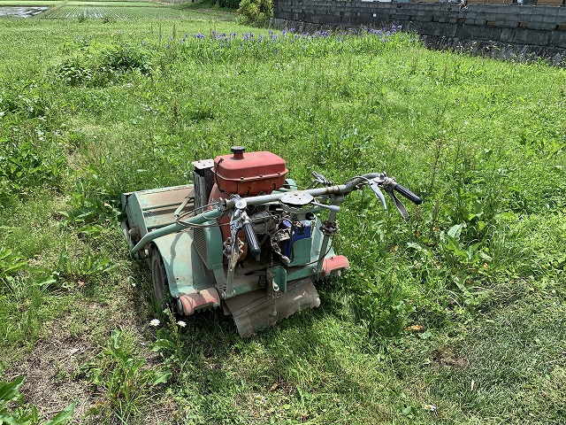 f:id:tomtom1ono:20210530213808j:plain