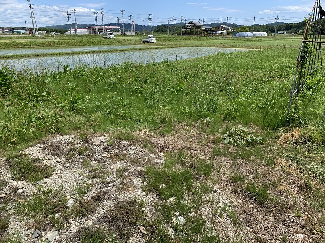 f:id:tomtom1ono:20210530213914j:plain