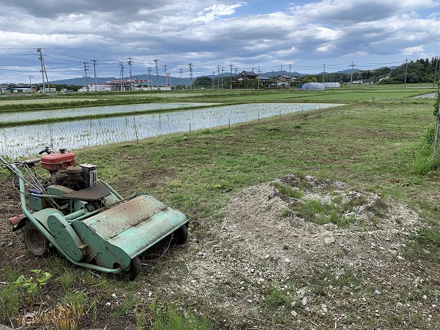 f:id:tomtom1ono:20210530214130j:plain