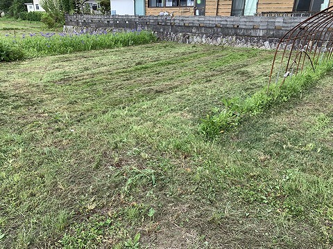 f:id:tomtom1ono:20210530214152j:plain