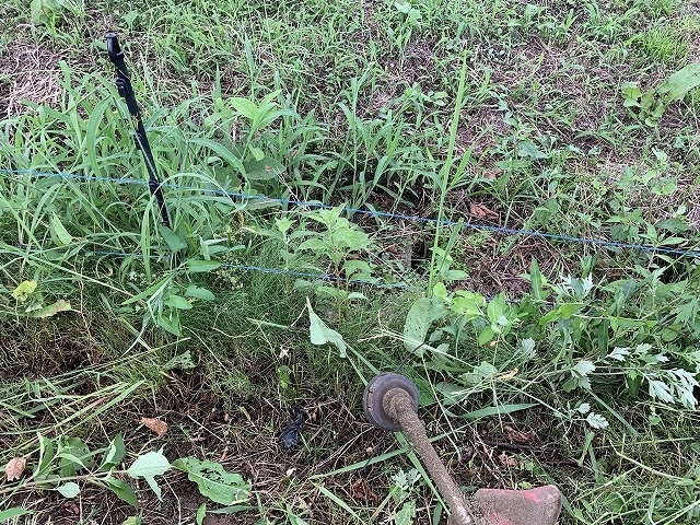 f:id:tomtom1ono:20210829213625j:plain