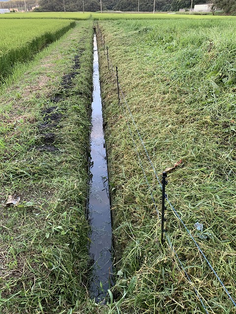 f:id:tomtom1ono:20210829213706j:plain