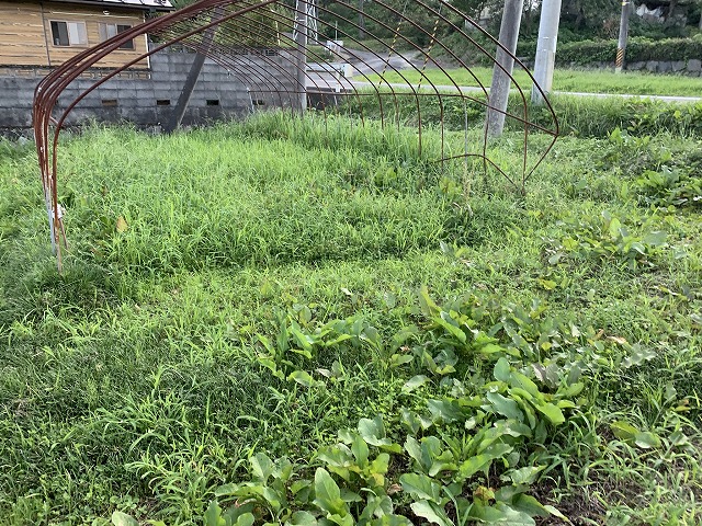 f:id:tomtom1ono:20210829220549j:plain