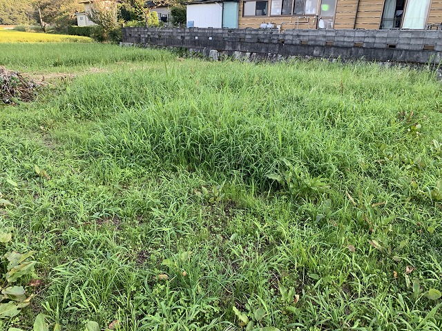 f:id:tomtom1ono:20210829220850j:plain