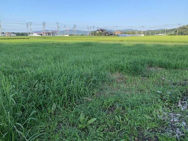 f:id:tomtom1ono:20210829220917j:plain