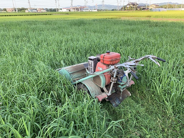 f:id:tomtom1ono:20210829221058j:plain