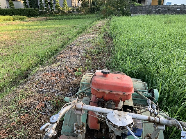 f:id:tomtom1ono:20210829221116j:plain