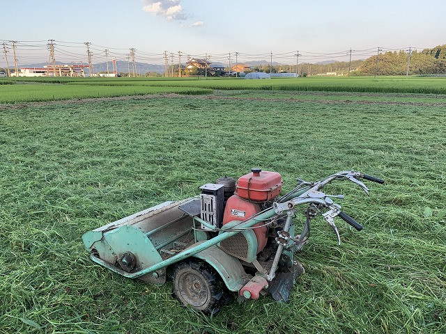 f:id:tomtom1ono:20210829221141j:plain