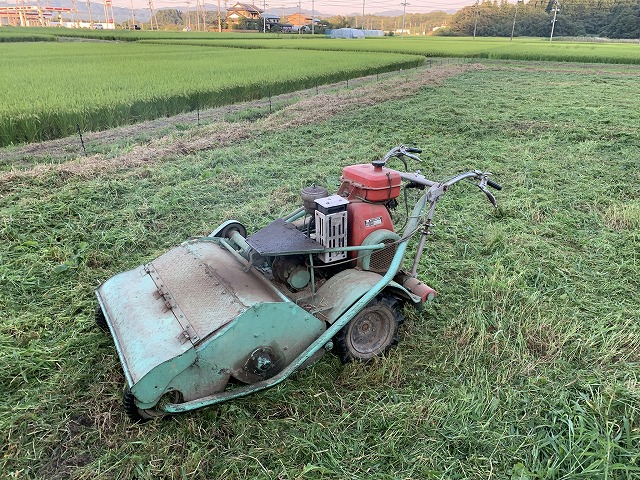 f:id:tomtom1ono:20210829221257j:plain