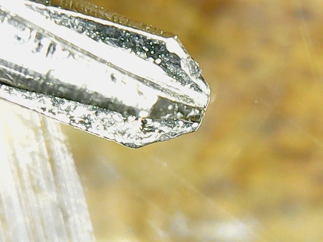 f:id:tomtom1ono:20210831211143j:plain