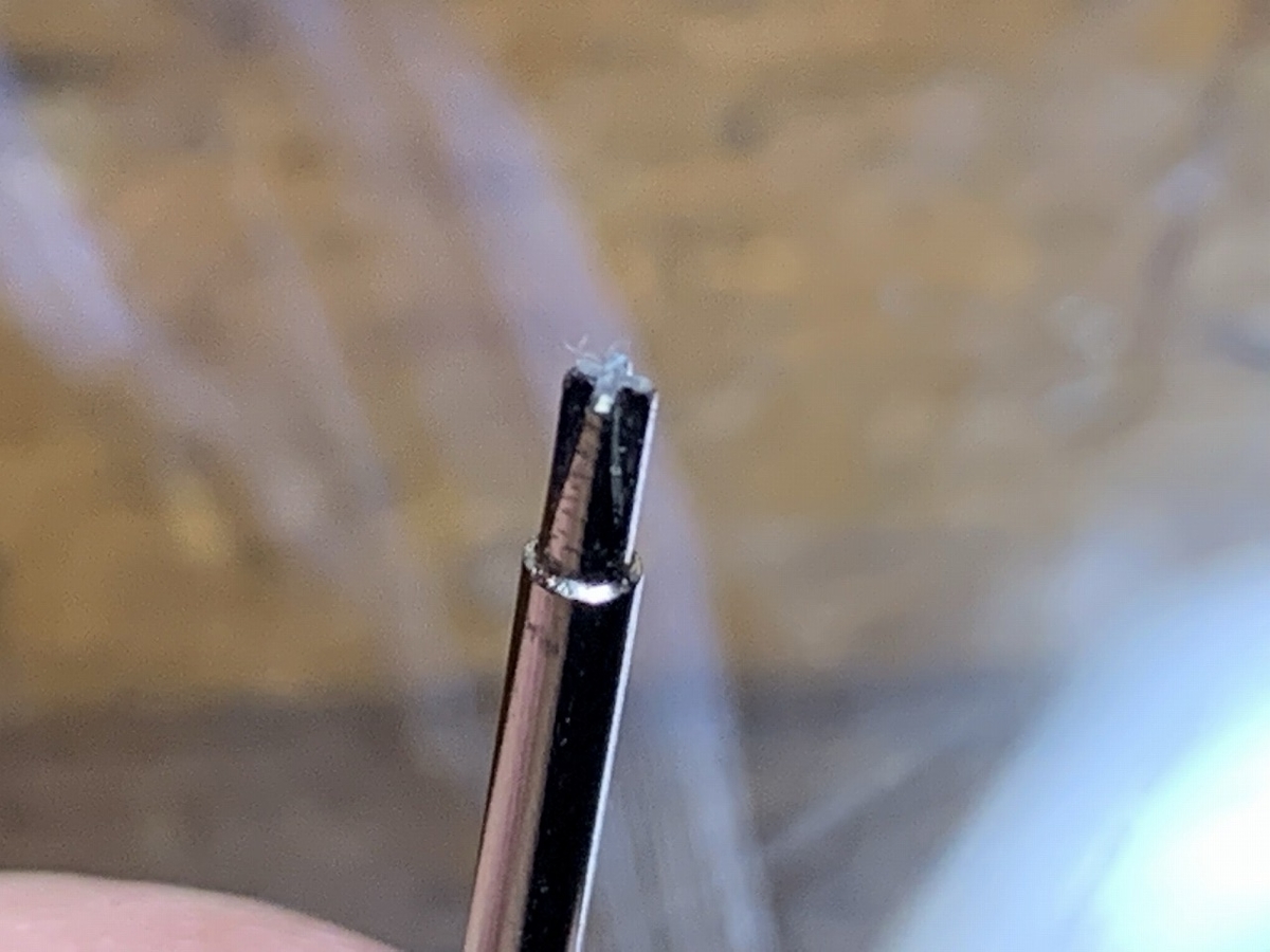 f:id:tomtom1ono:20210831211416j:plain