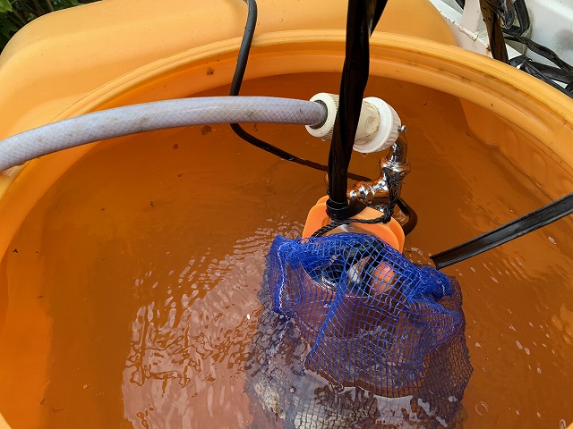 軽トラックの水タンクのポンプで花壇の水やり - TomのブログⅡ