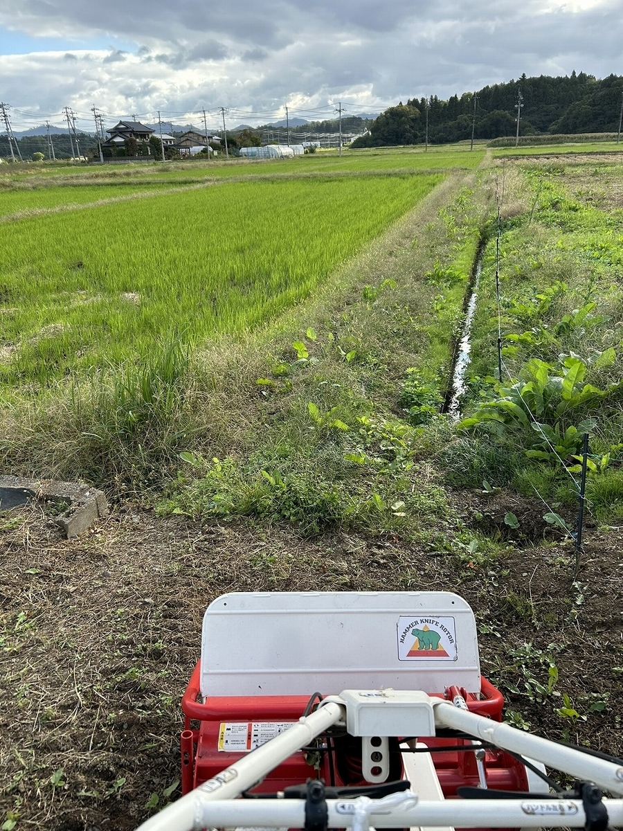 今年最後の草刈り ーその5：畑の北側の空き地ー - TomのブログⅡ
