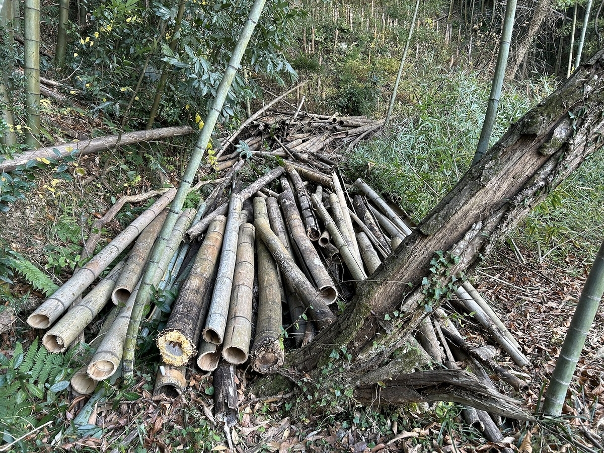 7年前に枯らした竹の後始末 - TomのブログⅡ