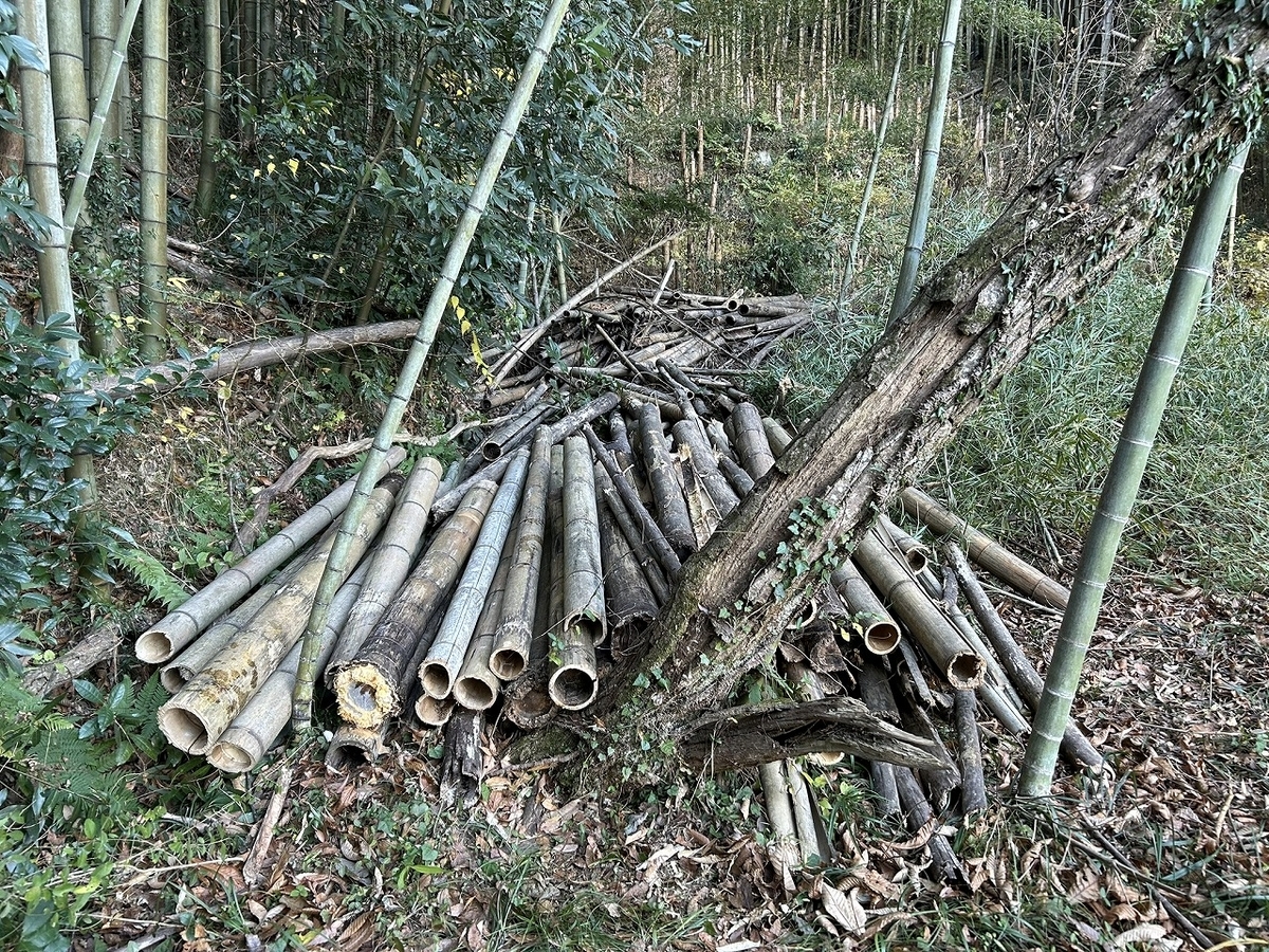 7年前に枯らした竹の後始末 - TomのブログⅡ