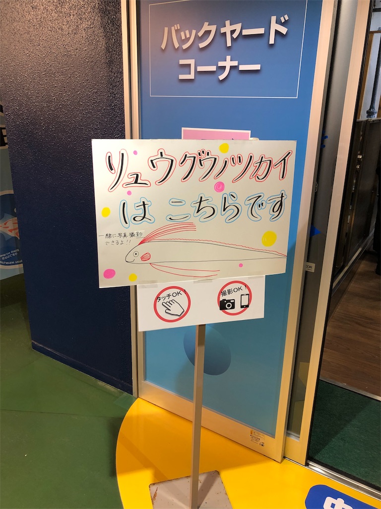 f:id:tomtom_com:20190206125607j:image