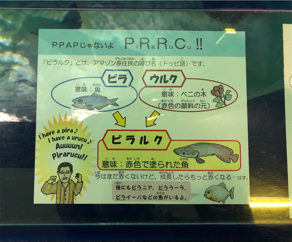 f:id:tomtom_com:20190206125901j:image