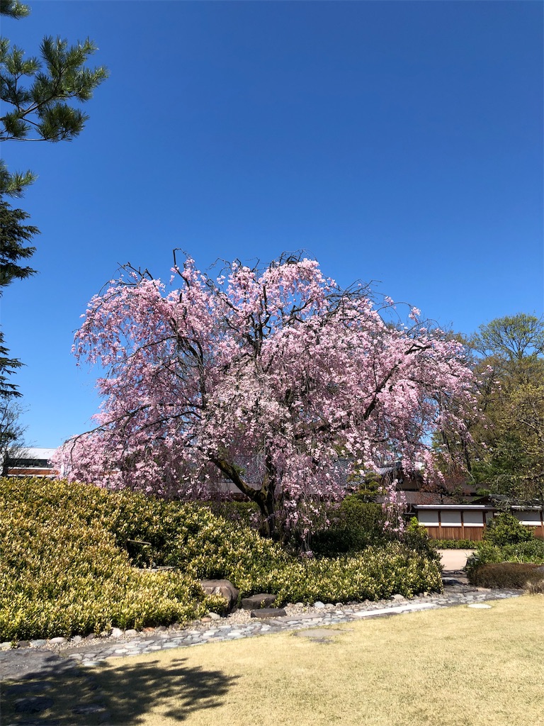 f:id:tomtom_com:20190418184745j:image
