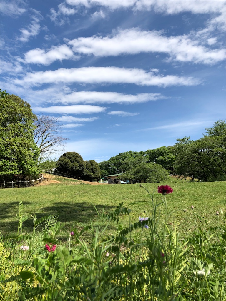 f:id:tomtom_com:20190502093655j:image f:id:tomtom_com:20190502093655j:image