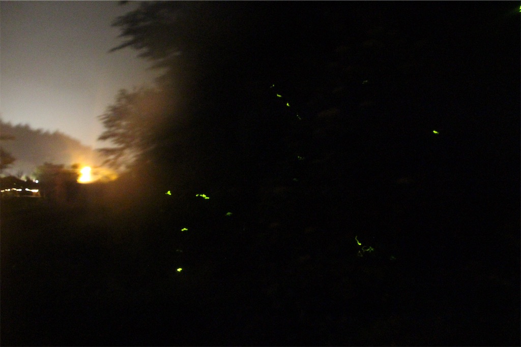 f:id:tomtom_com:20190628111154j:image f:id:tomtom_com:20190628111154j:image