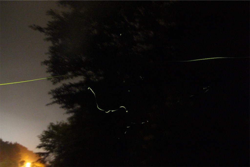 f:id:tomtom_com:20190628111534j:image f:id:tomtom_com:20190628111534j:image