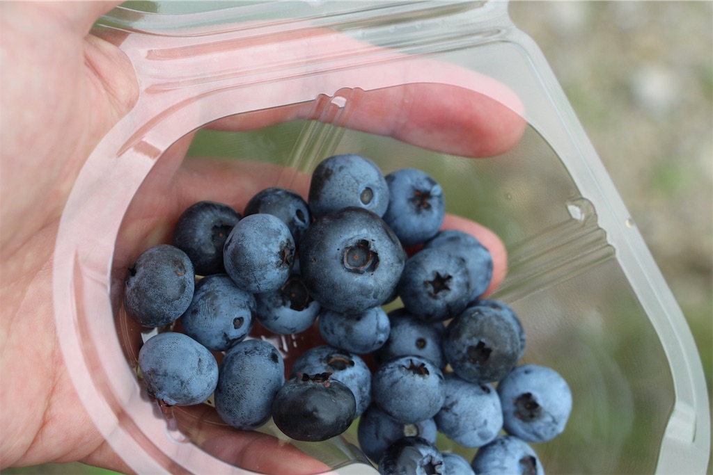 f:id:tomtom_com:20190805125911j:image f:id:tomtom_com:20190805125911j:image