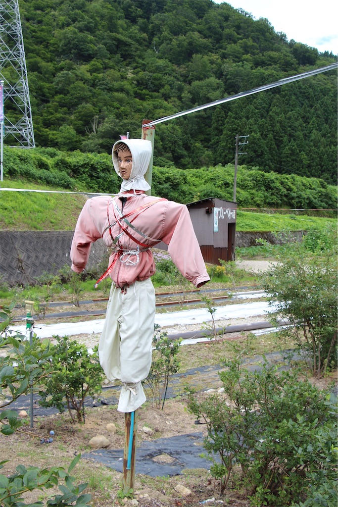 f:id:tomtom_com:20190805130248j:image f:id:tomtom_com:20190805130248j:image