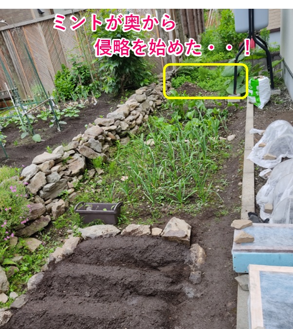 f:id:tomtomriverblog:20210901133742j:plain