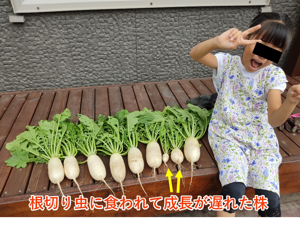 f:id:tomtomriverblog:20210906141408j:plain