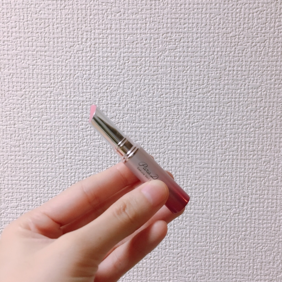 f:id:tomu_saito:20191016221908j:plain