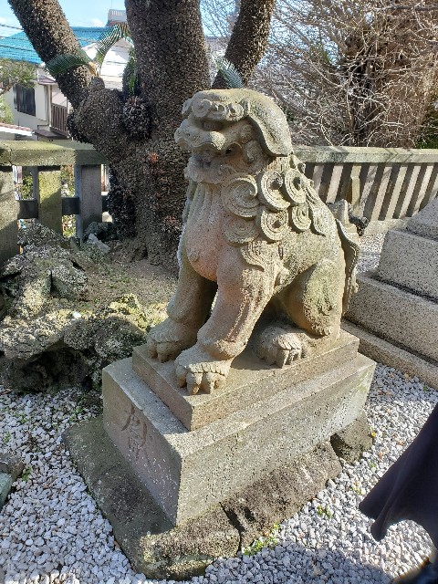 f:id:tomumane:20230127160440j:image f:id:tomumane:20230127160440j:image