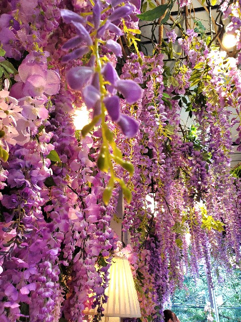 f:id:tomumane:20230804140525j:image f:id:tomumane:20230804140525j:image