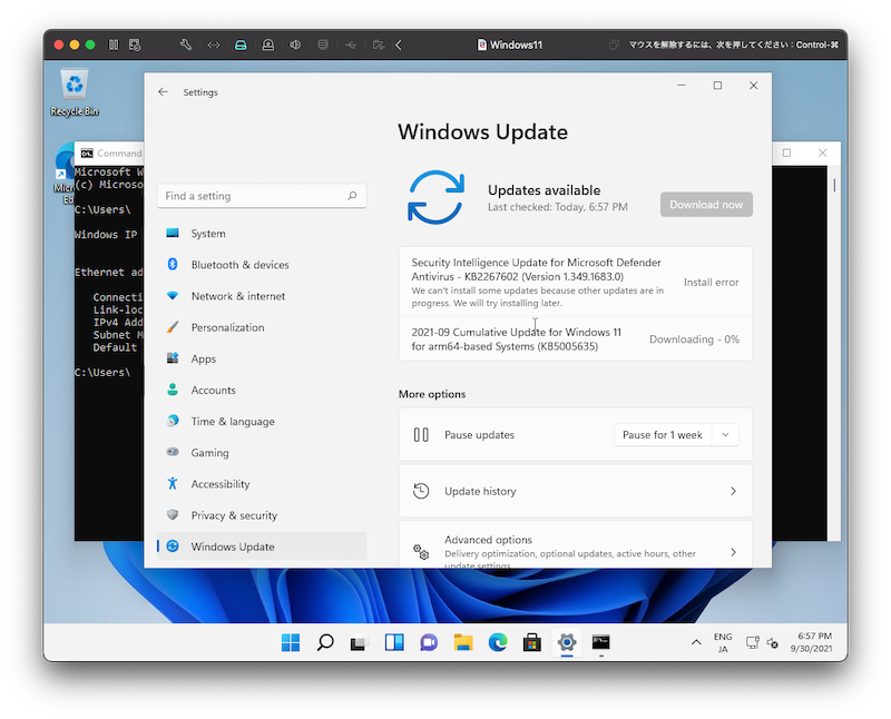 f:id:tomumu:20210930201231p:plain