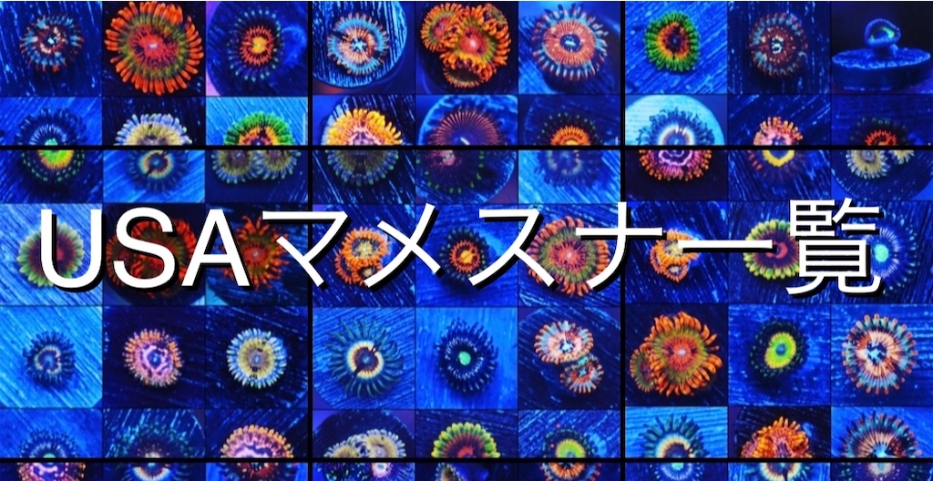 USAマメスナ動画一覧（※随時追加）｜Reef Mirror Servers - USA