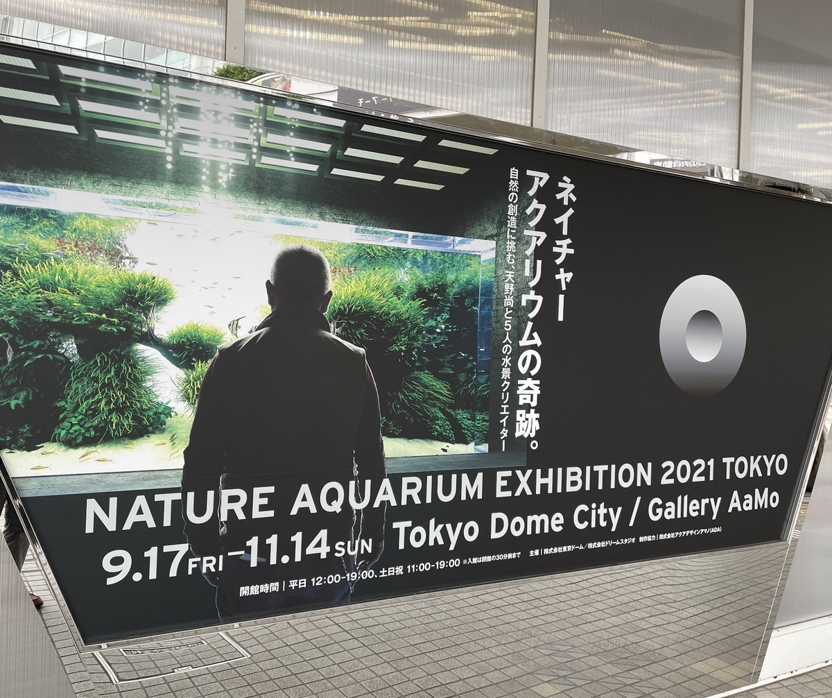 NATURE AQUARIUM EXHIBITION 2021 TOKYOに行ってきた - 淡水海水30cm生活