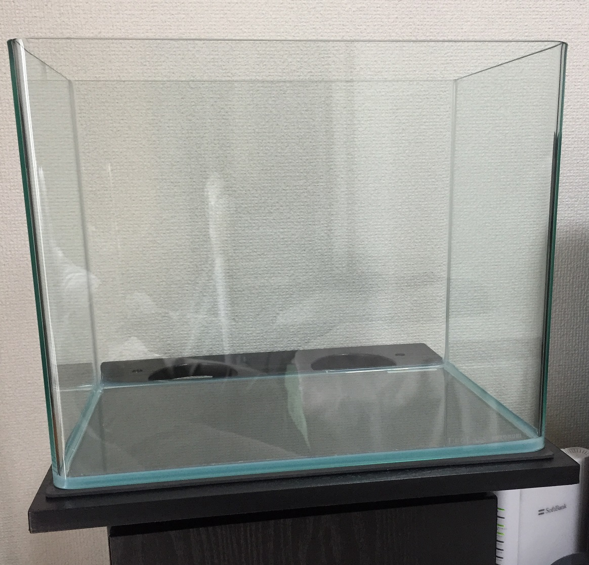 過去に作成した水槽の推移 ～2016年編～ - 淡水海水30cm生活