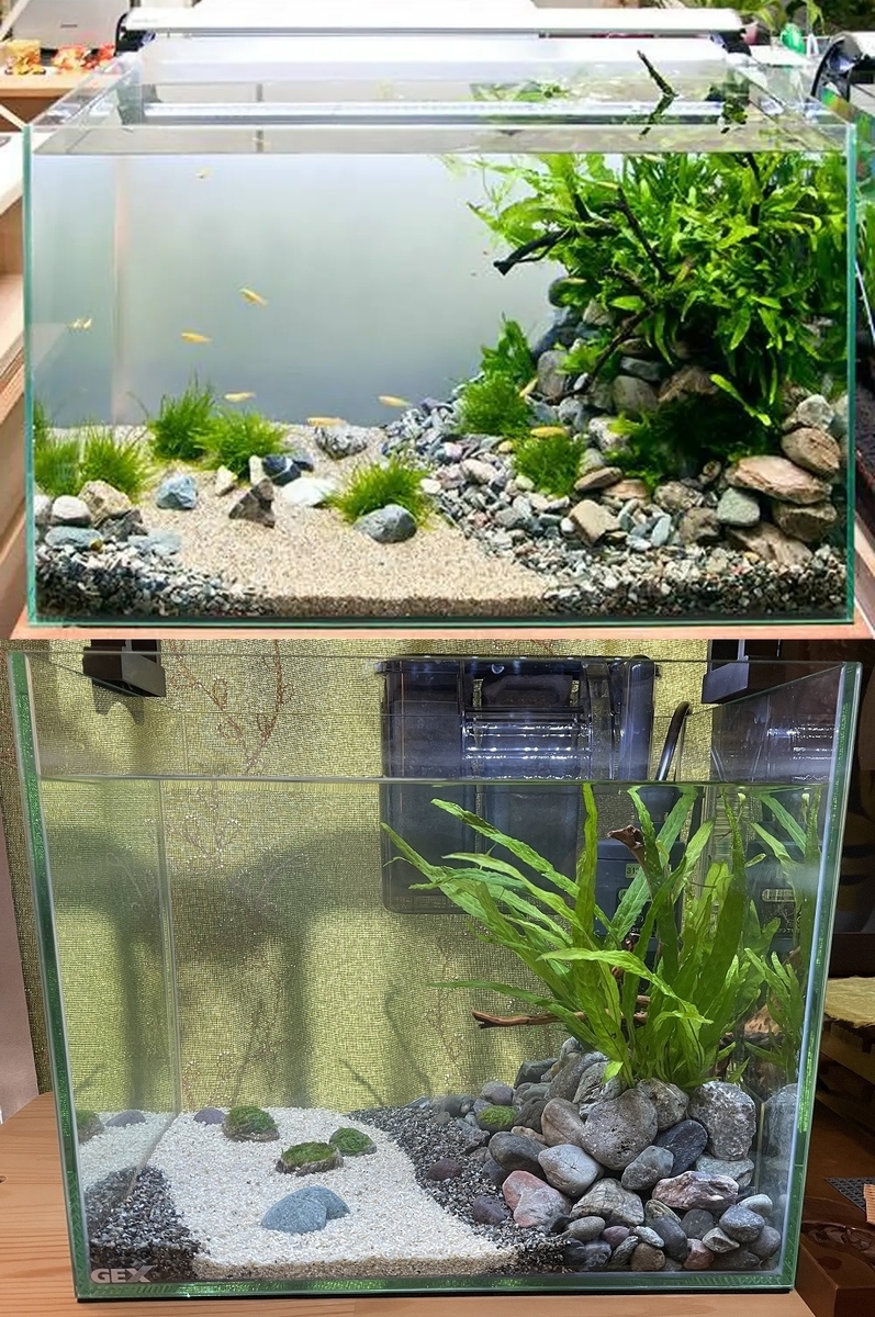 メダカ清流レイアウトの作成③ ～追加アクセント編～ - 淡水海水30cm生活