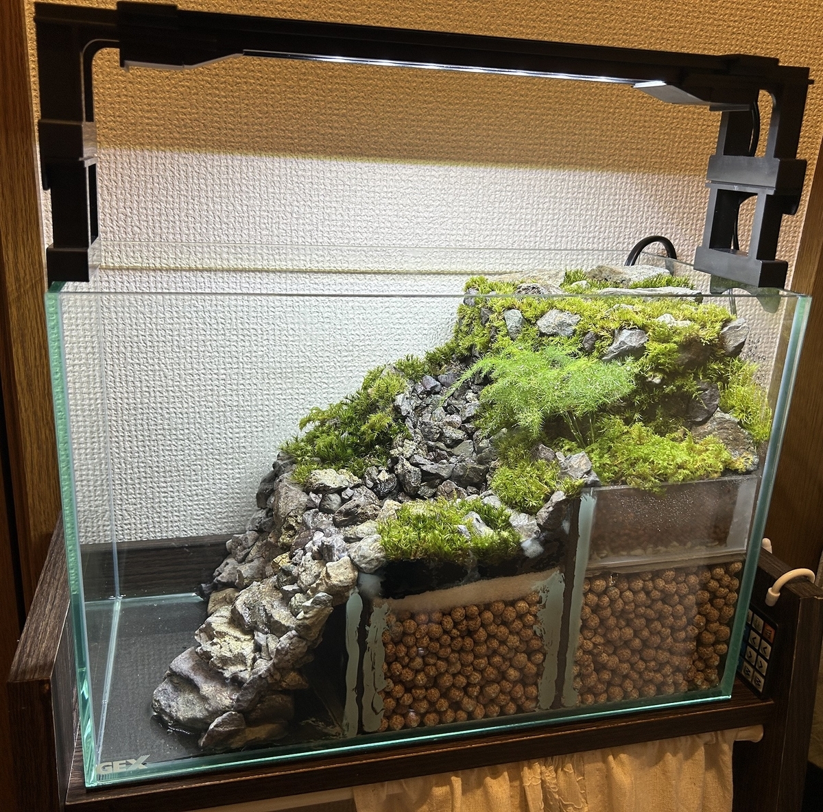 川の流れるアクアテラリウム作成⑦ ～コケ植栽編～ - 淡水海水30cm生活