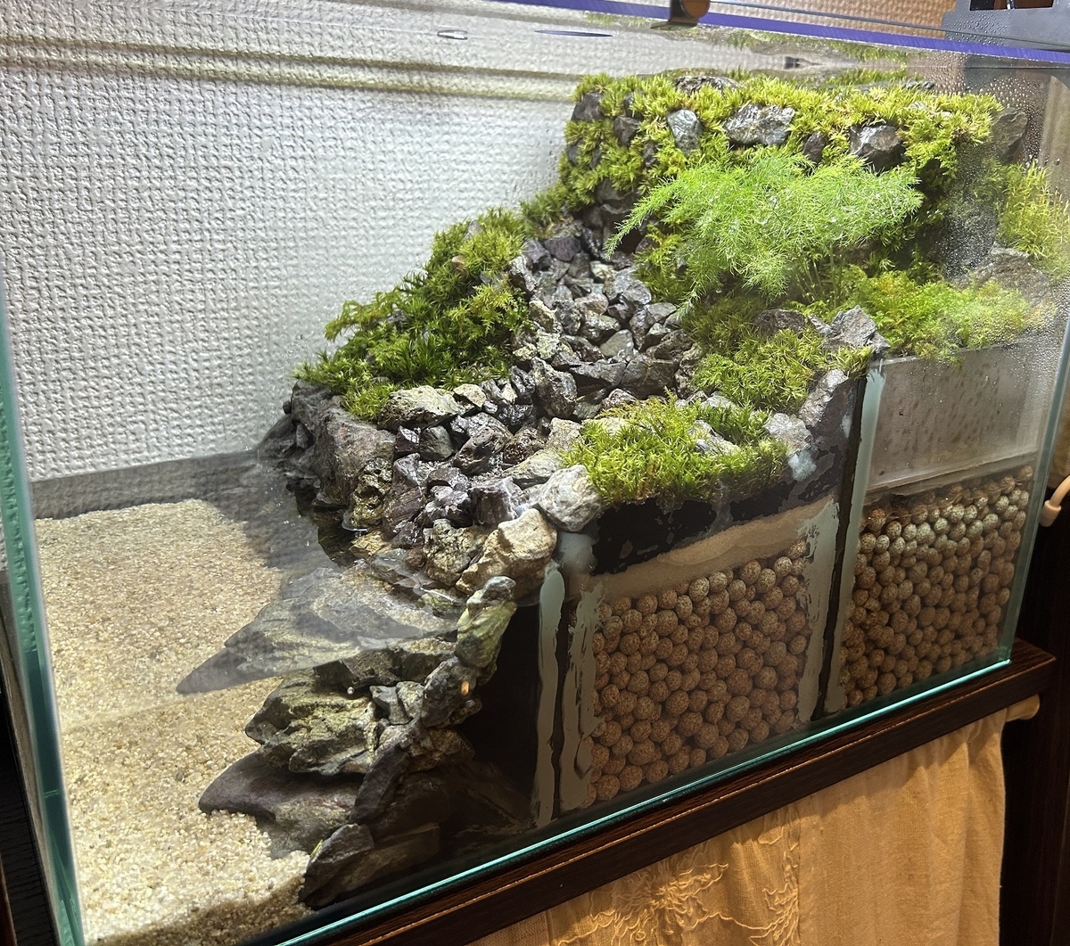川の流れるアクアテラリウム作成⑧ ～水辺作成編～ - 淡水海水30cm生活