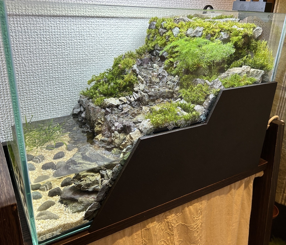 川の流れるアクアテラリウム作成⑨ ～手直し編～ - 淡水海水30cm生活