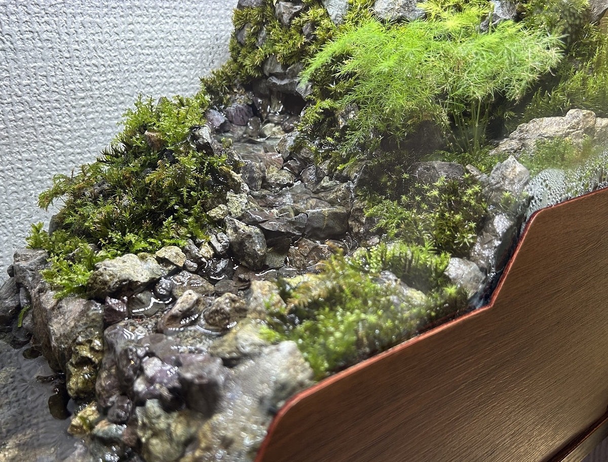 川の流れるアクアテラリウム作成⑩ ～完成～ - 淡水海水30cm生活