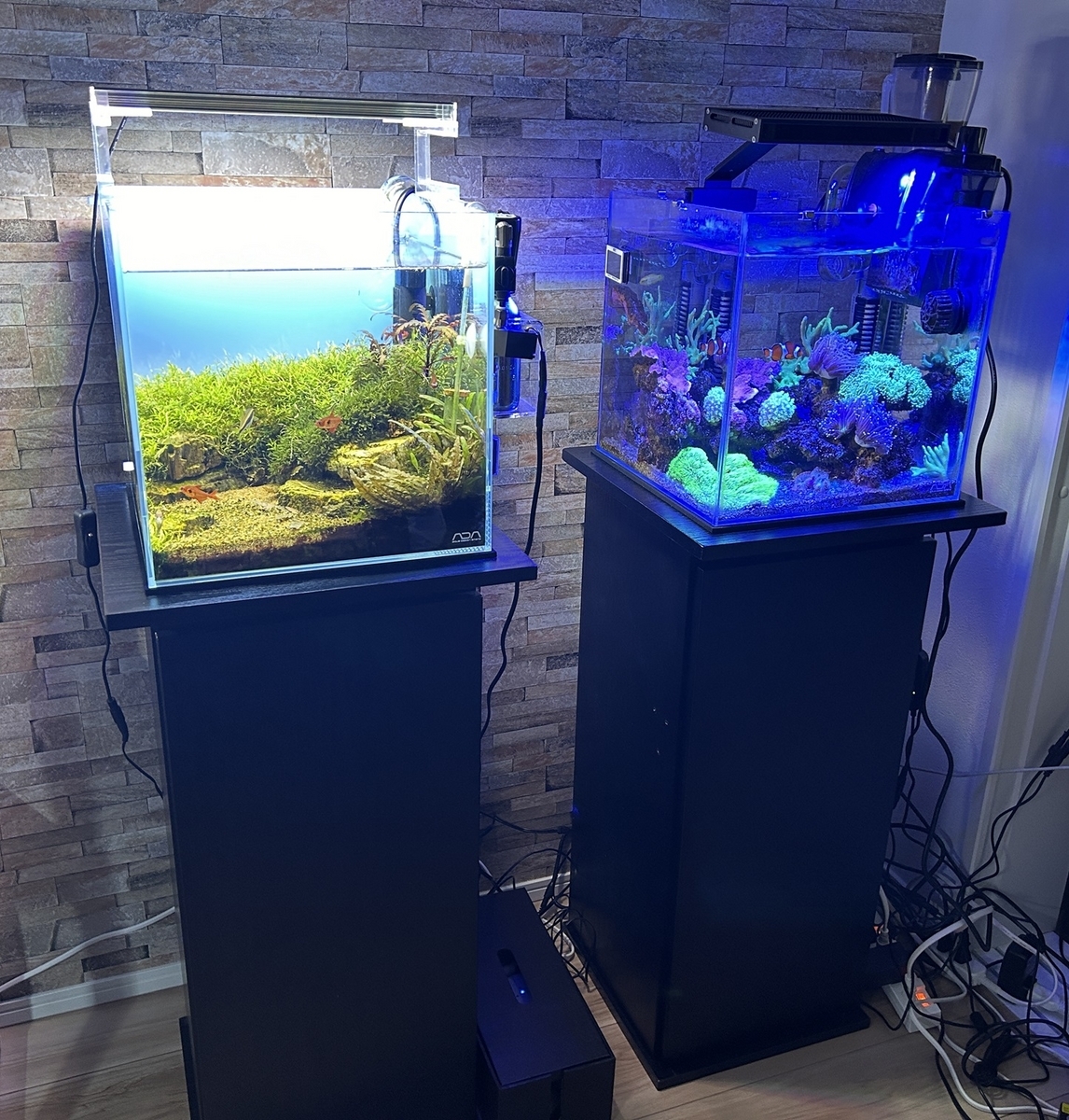 取引中】海水水槽2台+生体セット ※12月25日までの引渡し(引越の為