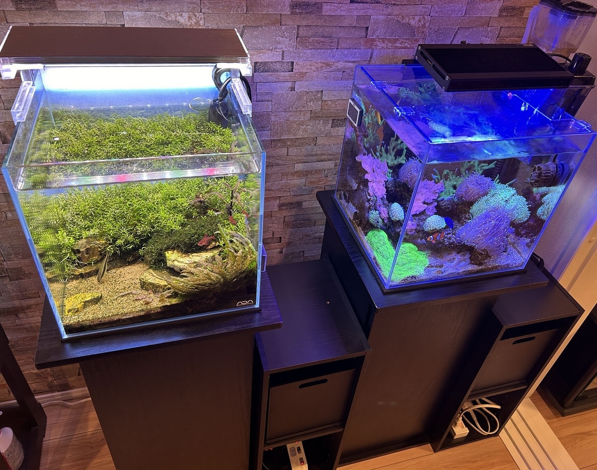 カラーボックスで水槽の電源ケーブル防水 - 淡水海水30cm生活