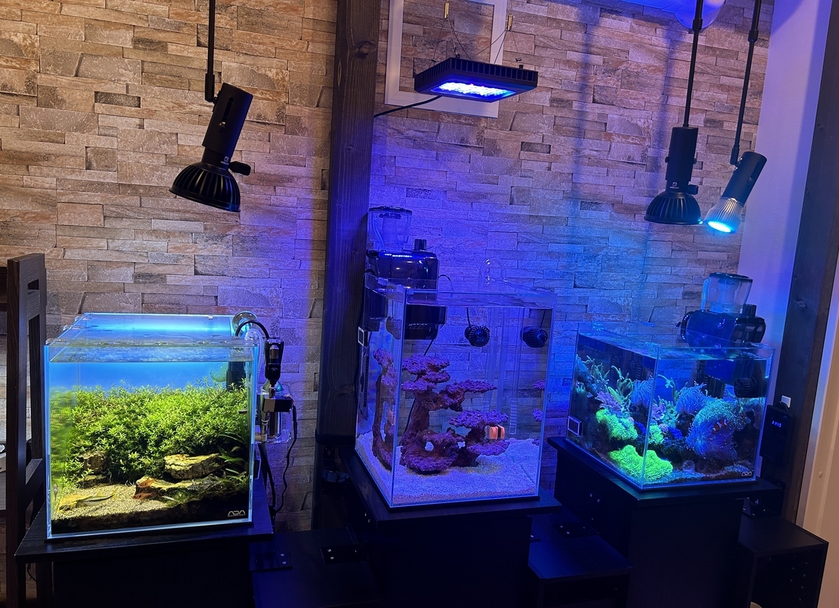 海水　水槽 企業様の事務所に90cm海水魚水槽をレンタル！大きな岩組が特徴です