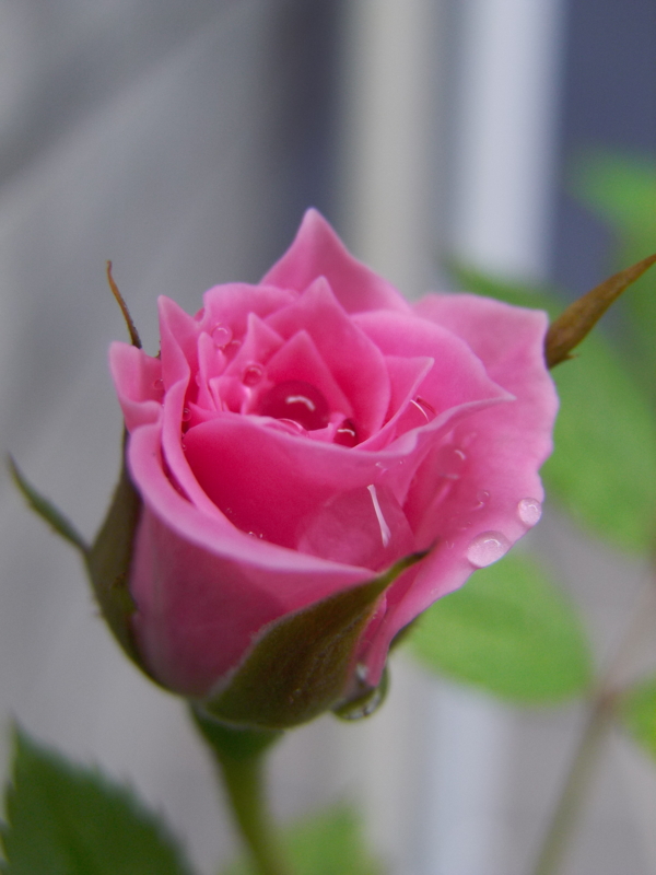 f:id:tomy2291:20150918092128j:image f:id:tomy2291:20150918092128j:image