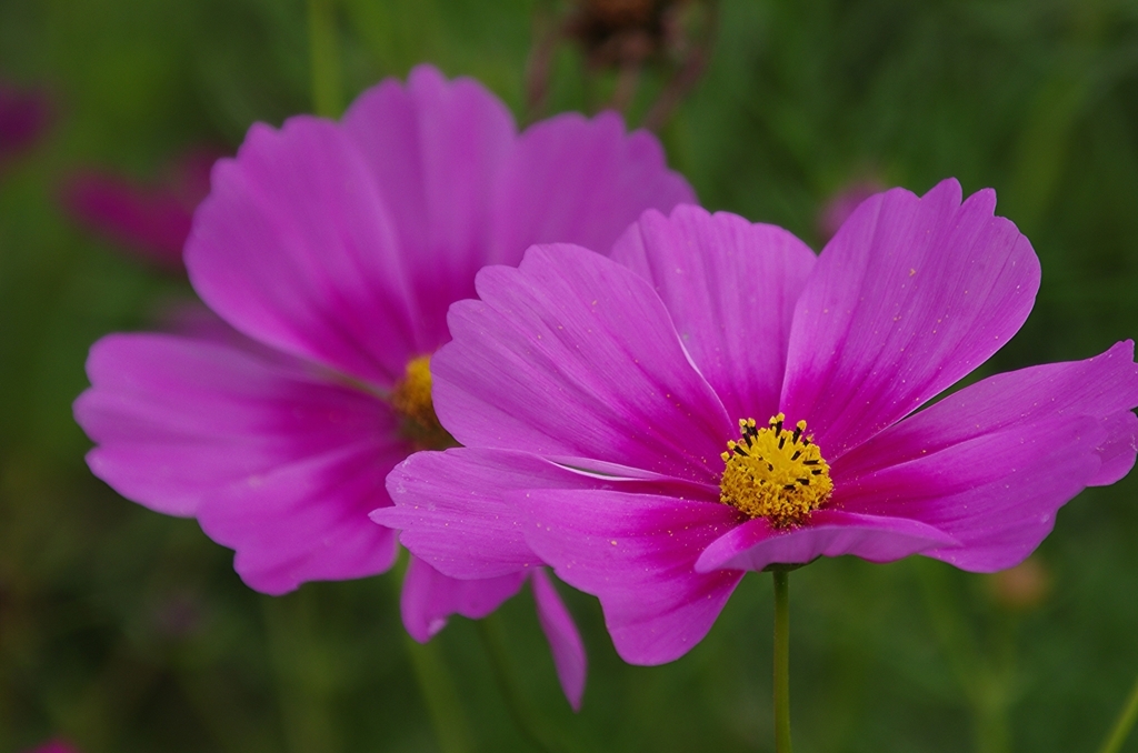 f:id:tomy2291:20171007145526j:plain