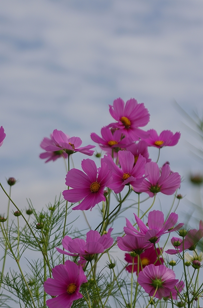 f:id:tomy2291:20171007145538j:plain